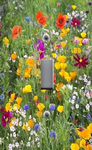 Light Switch Plate Cover with images Floral WILDFLOWERS 1 Colorful - Picture 1 of 26