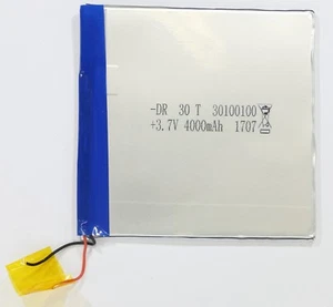 Thomson TEO10W16 Battery Packung 4000mAh. DR 30T 30100100 Replacement Part - Bild 1 von 2