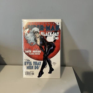 SPIDER-MAN And The BLACK CAT #1 NM Kevin Smith Comic Marvel 2002 - Picture 1 of 5