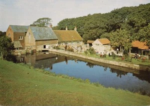 (az77) Calbourne Water Mill - Isle of Wight Postcard - Picture 1 of 2