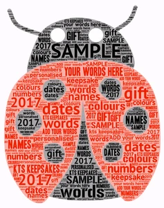 Wortkunst Bild personalisiert Geschenk Andenken Marienkäfer Marienkäfer Geburtstag - Bild 1 von 1