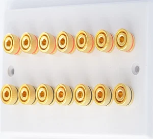 White 7.0 Speaker Wall Plate Gold 14 Binding Posts - Picture 1 of 6
