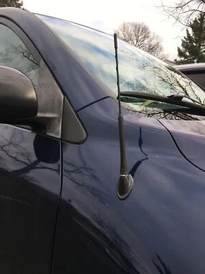 Mástil de antena de 9 pulgadas negro radio AM/FM para TOYOTA RAV4 2001-2008 nuevo Foto 1 de 4