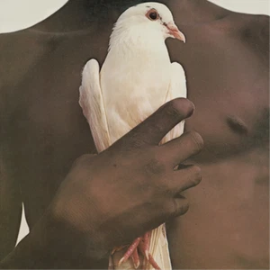 Santana Greatest Hits (Vinyl) 12" Album - Bild 1 von 1