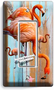 FLAMINGO ROSA TROPICAL MADERA DESGASTADA 1 GFCI INTERRUPTOR DE LUZ PLACAS DE PARED DECORACIÓN HABITACIÓN - Imagen 1 de 1