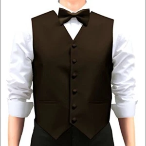 Three Piece Brown Vest, Bow Tie and Neck Tie Set - Picture 1 of 5