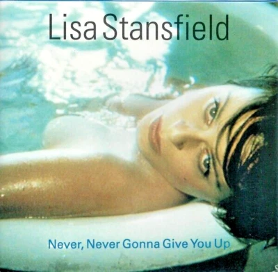 Lisa Stansfield – Never, Never Gonna Give You Up Audio CD Single (1993) - Image 1 of 2