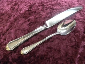 GOLDEN HENLEY Teaspoon / Dinner Knife Oneida Heirloom Stainless CUBE USA - Picture 1 of 3