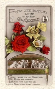 Every Good Birthday Wish to my Grandchild - RP - Posted 1924 - Wildt & Kray - Picture 1 of 2