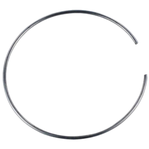 BBS PFS Retaining Clip - 70mm - bbsx0923409 - Picture 1 of 1