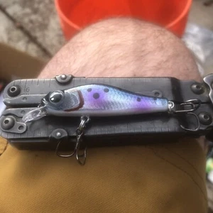 Custom Painted Crankbait Jerkbait 60mm Minnow Trout - Picture 1 of 5