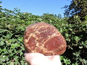 4 lb OREGON Natural RED & GOLD Jasper / Jaspagate Cobble Rough w/ Quartz Veins - Picture 1 of 13