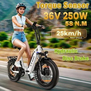 TTGO F6 20 Zoll Elektrofahrrad 36V 25Ah 250W City Ebike 80-100KM E-MTB Weiß - Bild 1 von 11