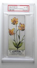 1924 V20 Cowan Co. Wild Flowers of Canada #5 Turk's Cap Lily PSA 6
