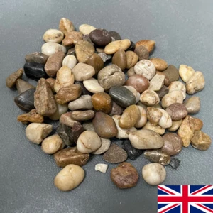 1kg New MIXED BROWNS Natural Stones Pebbles Decoration Decorative Vase Garden + - Picture 1 of 2