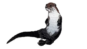 River Otter Embroidered Iron On Patch Applique by 1 Ferrets Treasures - Picture 1 of 1