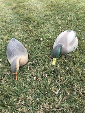 G And H Duck Decoys  Shells New Old Stock per dozen
