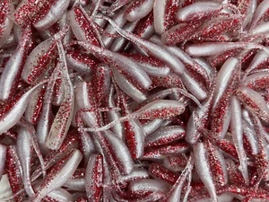 24 pk 2" Bleeding Shad Stinger Shad Crappie Fishing Bluegill Perch - Picture 1 of 1