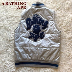 A Bathing Ape Vintage Silver Down Vest M Unisex Streetwear Jacket - Picture 1 of 11