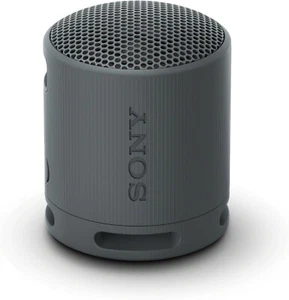 Sony SRS-XB100 Wireless Bluetooth Portable Waterproof IP67 Speaker Black BASS - Bild 1 von 10