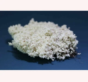 Dollhouse Miniature White Wild Bushes - Set of 20 Pieces - 1:12 Scale - Picture 1 of 1