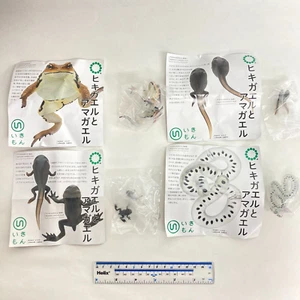 Nature Techni Colour Figure Magnet Japanese Common Toad larva spawn Set - Picture 1 of 8