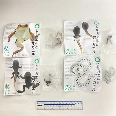 Nature Techni Color Figura Imán Sapo Común Japonés Larva desove Set Foto 1 de 4