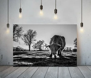 HIGHLAND COW 3- DEEP FRAMED CANVAS WALL ART PICTURE PRINT-BLACK AND WHITE ANIMAL - Picture 1 of 15