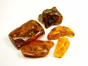 Lot of 5 Baltic Amber Stones 72gr. Multicolor Natural Genuine Polished 6742 - Picture 1 of 9