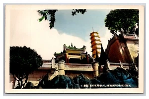 RPPC Tinted Tiger Balm Garden Hong Kong China UNP Postcard O23 - Picture 1 of 2
