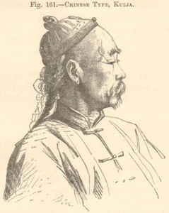 Elderly Chinese man, Kulja (Ghulja), Xinjiang, China. SMALL 1885 old print - Picture 1 of 1