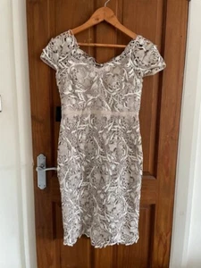 phase eight silver occasion dress size 10 new with tags - Picture 1 of 8
