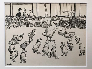 Original Pen & Ink John Hassall 1868-1948 Published Fairy Tale The Ugly Duckling - Picture 1 of 6