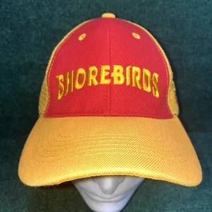 DELMARVA SHOREBIRDS Strapback Hat - MiLB Minor League Baseball SGA Orioles - Picture 1 of 6