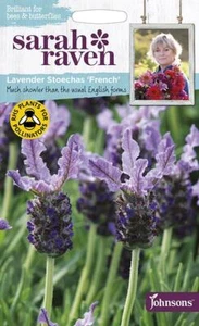 Lavender stoechas French 35 fresh seeds lavender seeds flower seeds - Picture 1 of 7