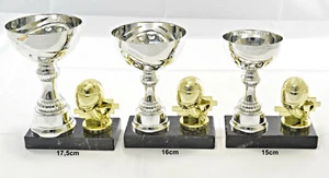 Kart, Go Kart - Trofeo / Copa juego 3 o individual incl. inscripción - Imagen 1 de 2