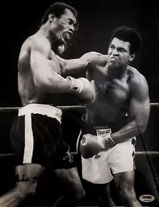 Muhammad ali with ken Norton Signed witness Psa Loa. Bw 11 x 14 - Picture 1 of 3