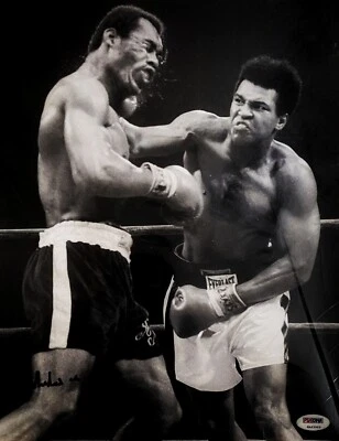 Muhammad ali with ken Norton Signed witness Psa Loa. Bw 11 x 14 - Image 1 of 3