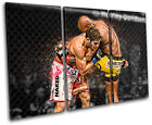 MMA Anderson Silva Cote  Sports TREBLE DOEK WALL ART foto afdrukken