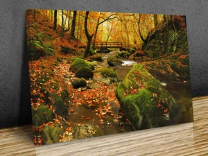 Herbst bei Stockghyll Seengebiet Leinwanddruck Kunst Wand gerahmt oder nur bedruckt   - Bild 1 von 8