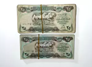Iraq 1978 25 Dinars P-66 100 Pcs full Bundle LARGE SIZE Notes FIRST ISSUE - Picture 1 of 5