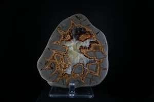 Septarian Nodule / Mount Carmel Junction, Utah / Polished Mineral Specimen - Picture 1 of 3