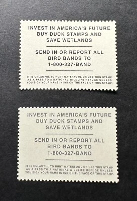 #RW71 2004 - Selo Federal Duck - MNH **ERRO DE TEXTO VARIEDADE DE CORES PRETO E CINZA** - Imagem 1 de 4