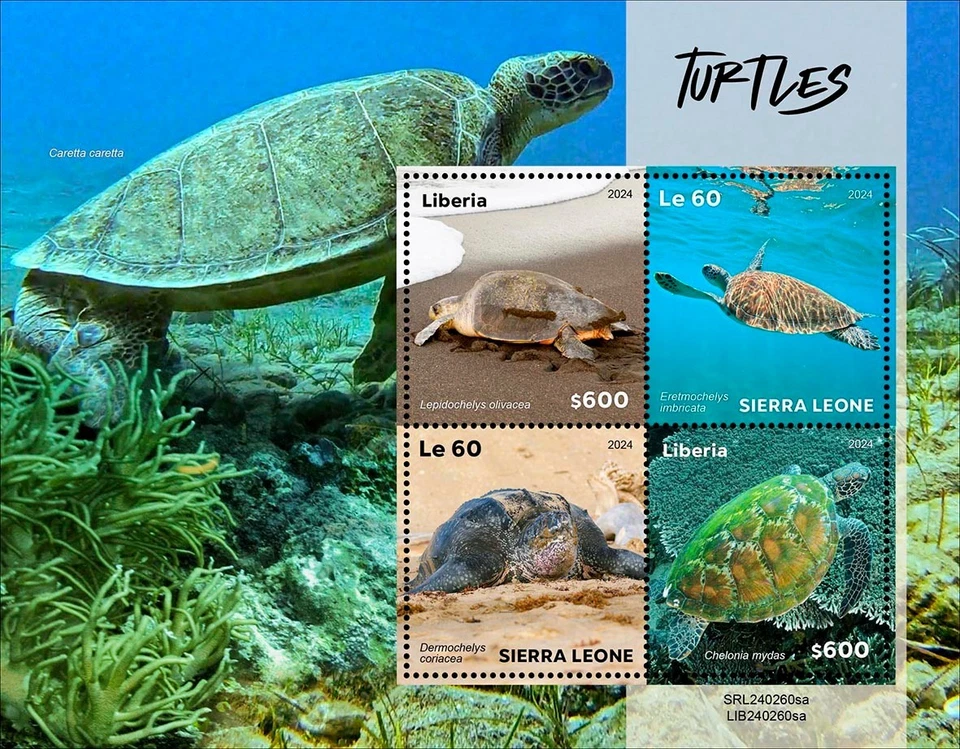 Estampillas Tortugas MNH 2024 Liberia Sierra Leona M/S Foto 1 de 1