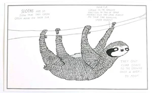 New Postcard SLOTHS Facts Colorable Unposted Unstamped - Picture 1 of 2