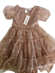 Sz6 Girls Dress Chenault Birthday Tule Mauve Taupe Stars Sparkle Tutu - Picture 1 of 7
