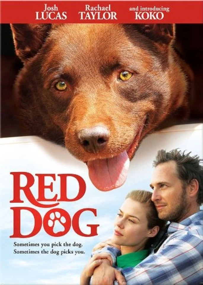 RED DOG - Josh Lucas DVD - Image 1 of 1