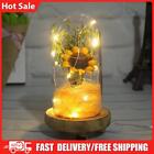 Sunflower Banquet Dried Flowers in Glass Dome Bedside Decor Lamp (Yellow)