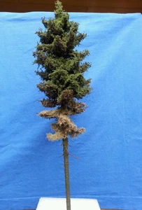 Modellbaum "Hochstammfichte" 30cm - Spur 1, 0 - handgearbeiteter Modellbaum - Bild 1 von 3