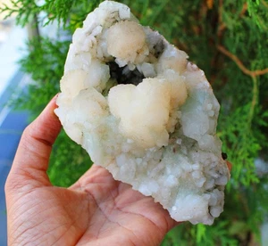 green APOPHYLLITE Crystals with STILBITE in geode Minerals Specimen#N25 - Picture 1 of 8